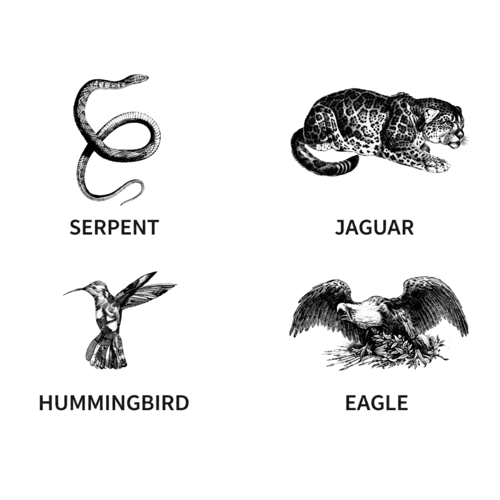 shamanic bodies